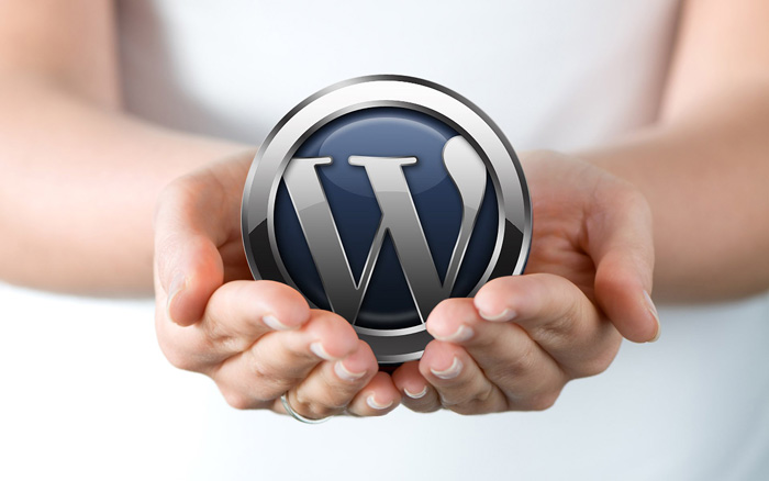 Understanding WordPress