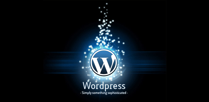 WordPress CMS for websites