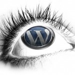 wordpress cms website