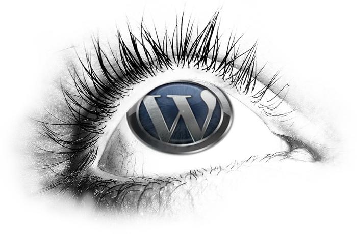 wordpress cms website