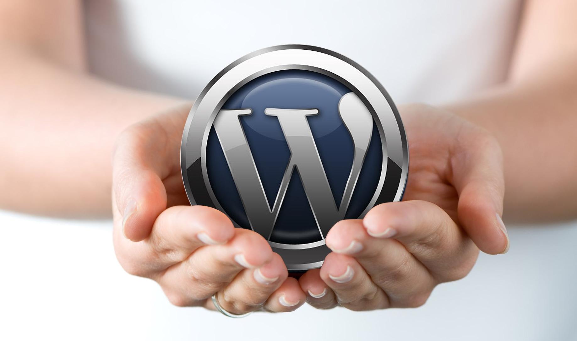 wordpress cms