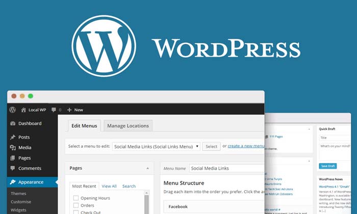 Wordpress-Websites
