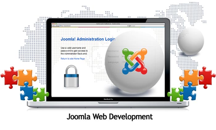 Joomla Website